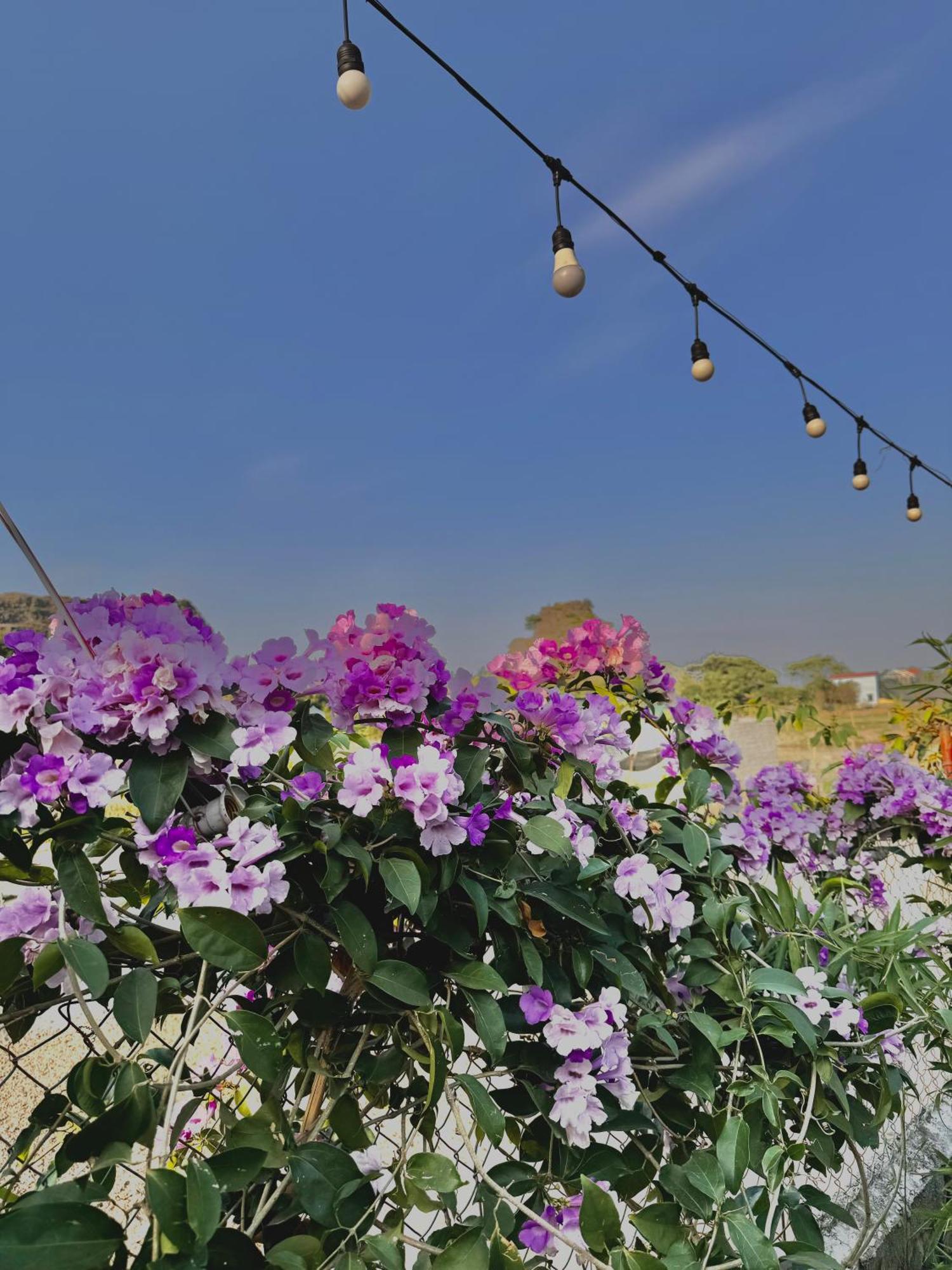 Rosa Garden 호텔 닌빈 외부 사진